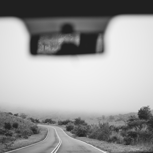 Adjustable Windshield Phone Holder